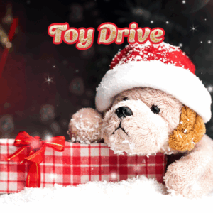 Toy Drive puppy