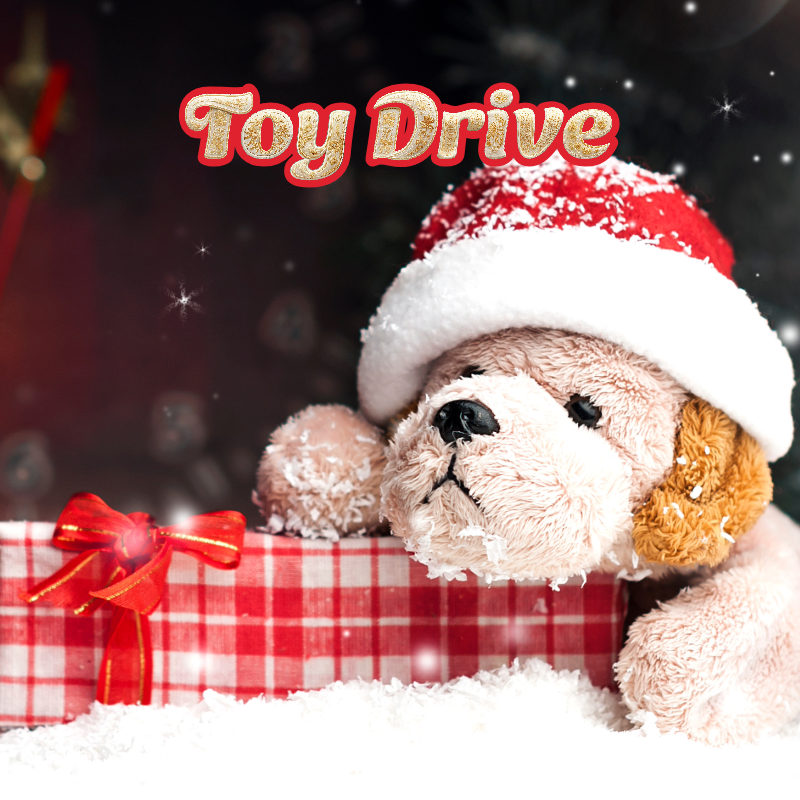 Toy Drive puppy