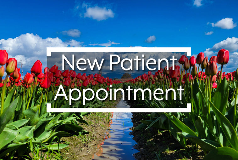 New Patient Appt Button