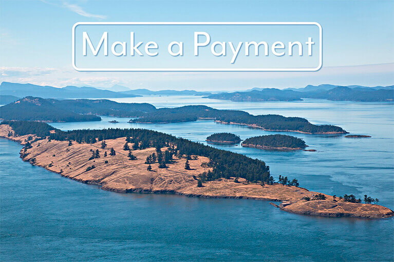 Make a Payment