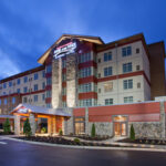 Angel of the Winds RLE Cat