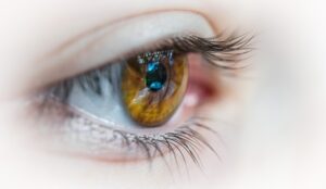 Eye
Patrick Brinksgma Unsplash